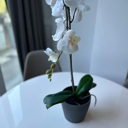 아파트 N&g New Stoja *